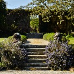 trereife_030511_0001
