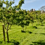 trereife_030511_0003