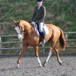trereife_0716_527-x-350