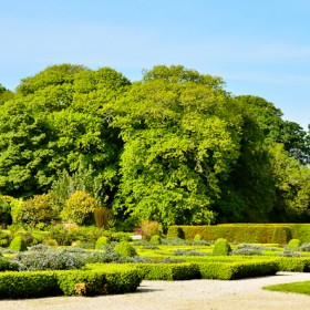 Trereife_310512_0094