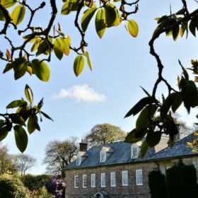 trereife_030511_0004