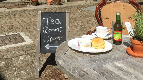 penzance tea room